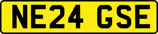 NE24GSE