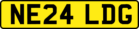 NE24LDG