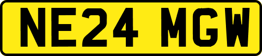 NE24MGW