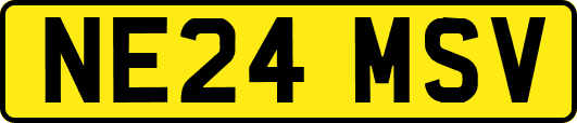 NE24MSV