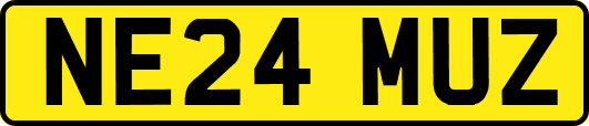 NE24MUZ