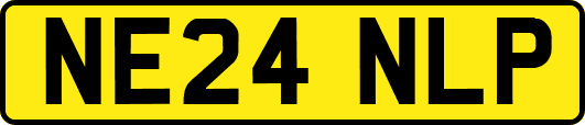 NE24NLP