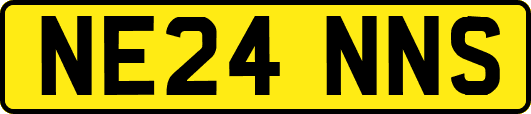 NE24NNS
