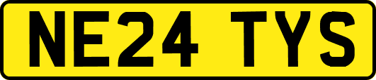 NE24TYS