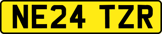 NE24TZR