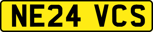 NE24VCS