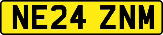 NE24ZNM