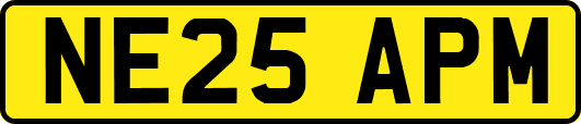 NE25APM