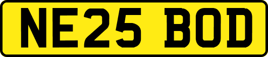 NE25BOD