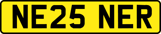 NE25NER