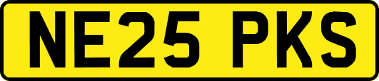 NE25PKS