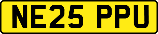 NE25PPU