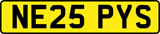 NE25PYS