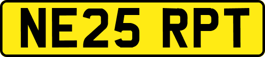 NE25RPT