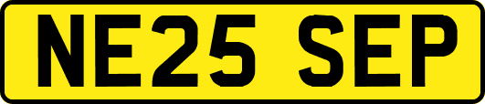 NE25SEP