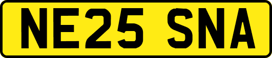 NE25SNA