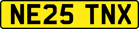 NE25TNX