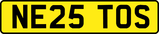 NE25TOS