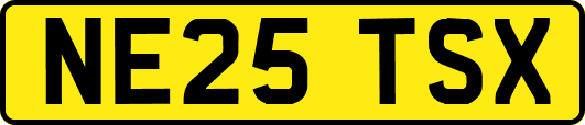 NE25TSX