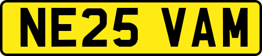 NE25VAM