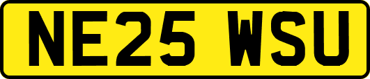 NE25WSU
