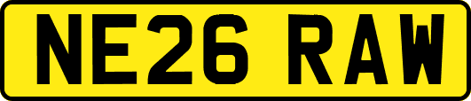 NE26RAW
