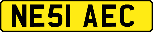 NE51AEC