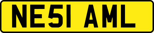 NE51AML