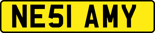 NE51AMY