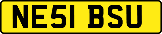 NE51BSU