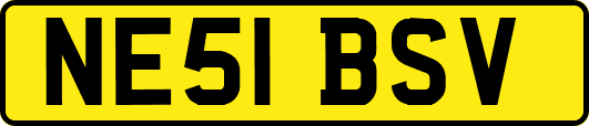 NE51BSV