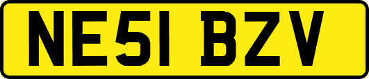 NE51BZV