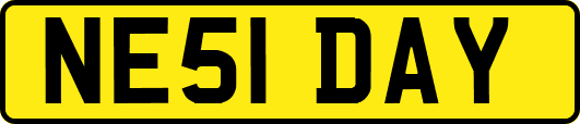 NE51DAY