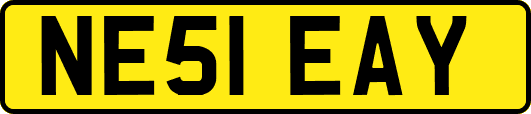 NE51EAY