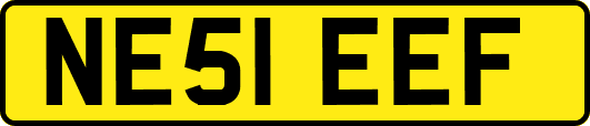 NE51EEF