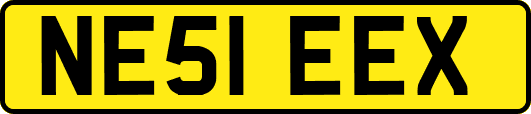 NE51EEX