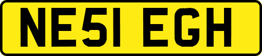 NE51EGH
