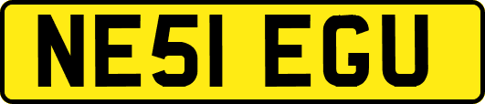 NE51EGU