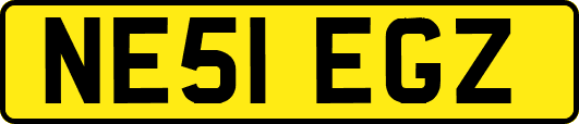 NE51EGZ