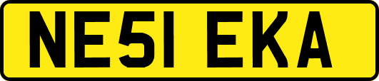 NE51EKA