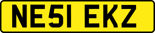 NE51EKZ