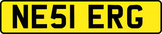 NE51ERG
