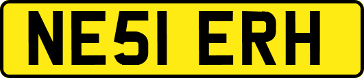 NE51ERH