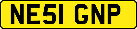 NE51GNP