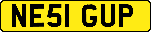 NE51GUP