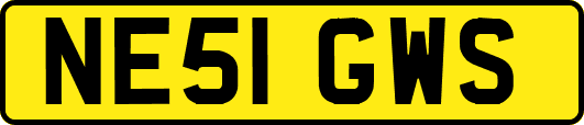 NE51GWS