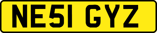 NE51GYZ