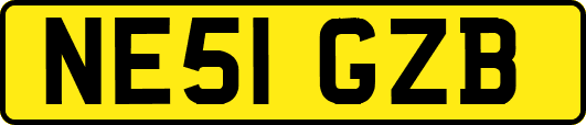 NE51GZB