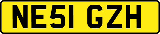 NE51GZH