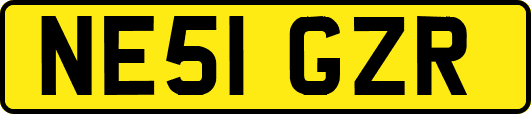 NE51GZR